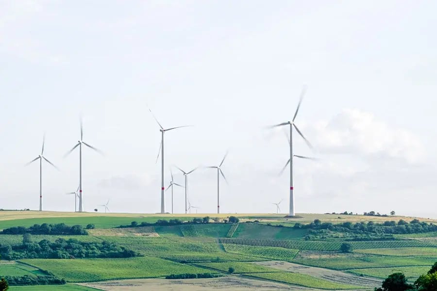 Nachhaltigkeit in der Gastronomie - Tillhub Blog