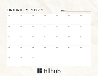 Tillhub Social Media Planner leer