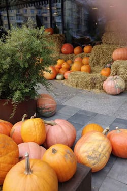 Ein Haufen Kürbisse liegen draußen als Herbstdekoration